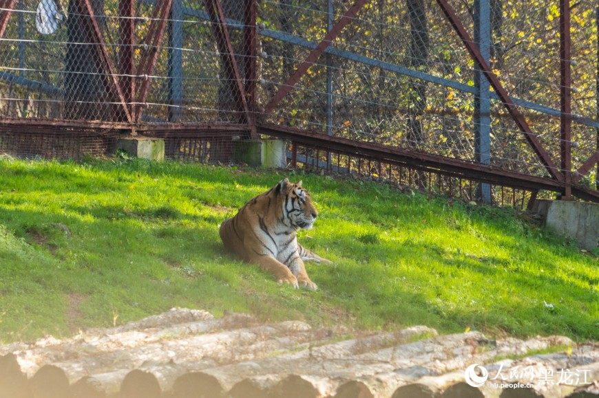 牡丹江：景区人气旺 秋日魅力足