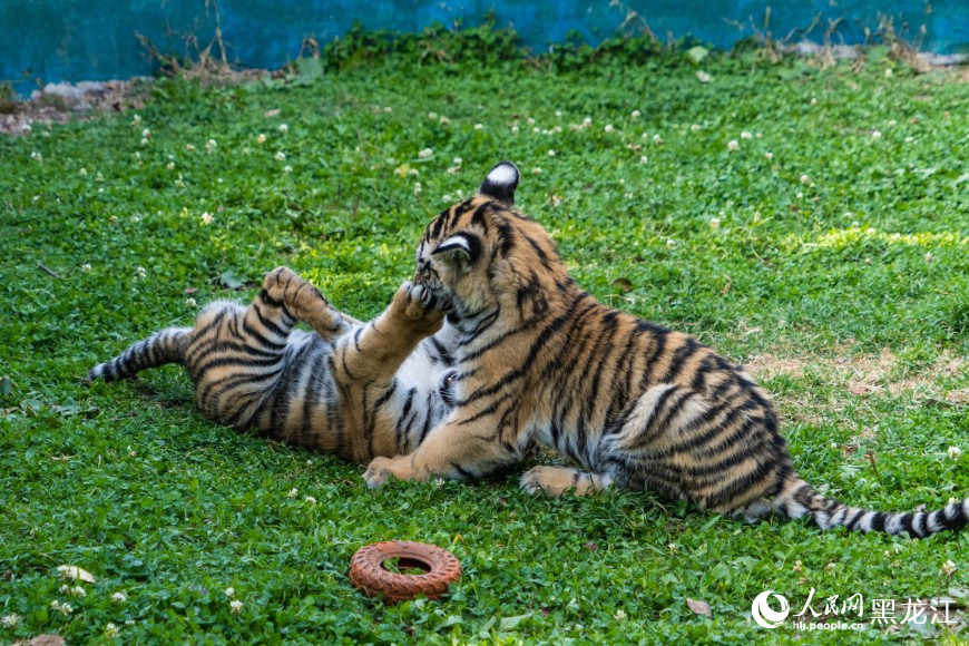 牡丹江：景区人气旺 秋日魅力足