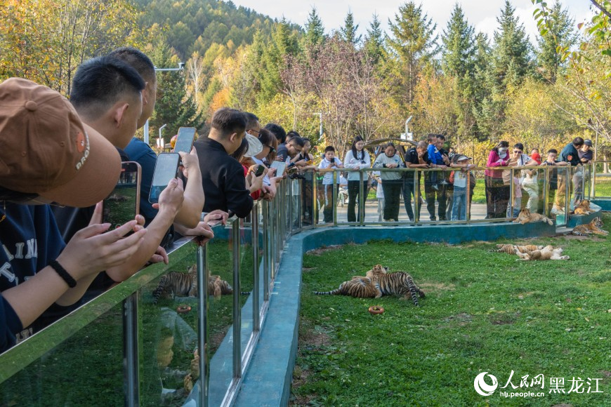 牡丹江：景区人气旺 秋日魅力足