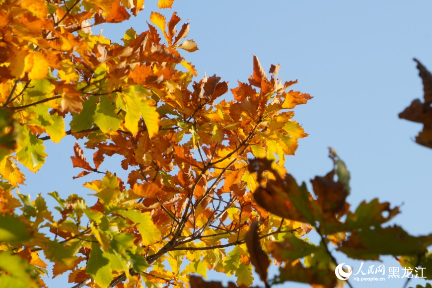 牡丹江：景区人气旺 秋日魅力足