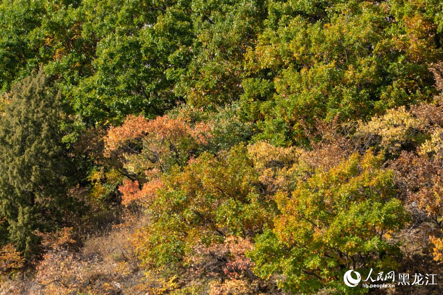 牡丹江：景区人气旺 秋日魅力足