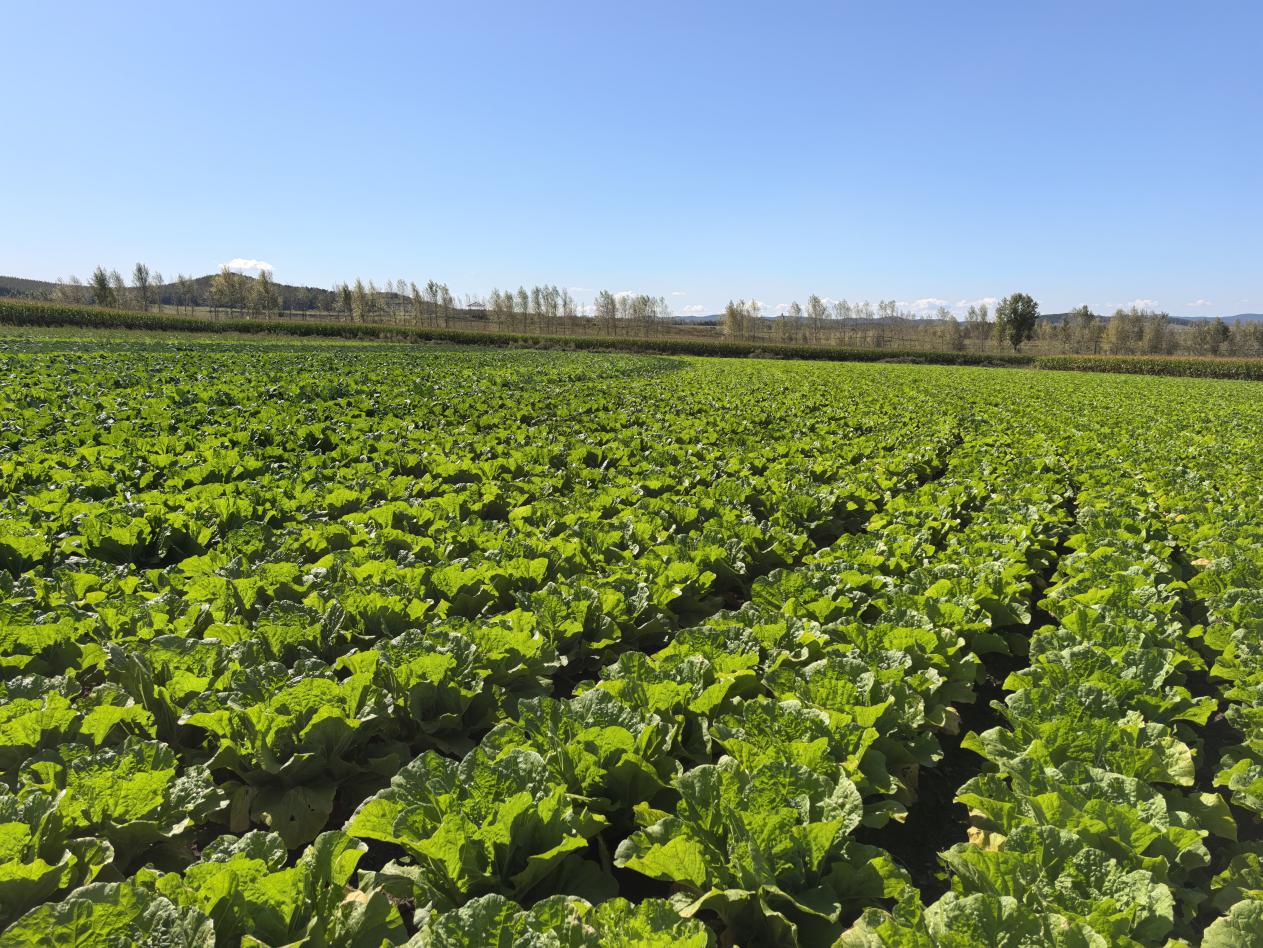 微信图片_20251009112127