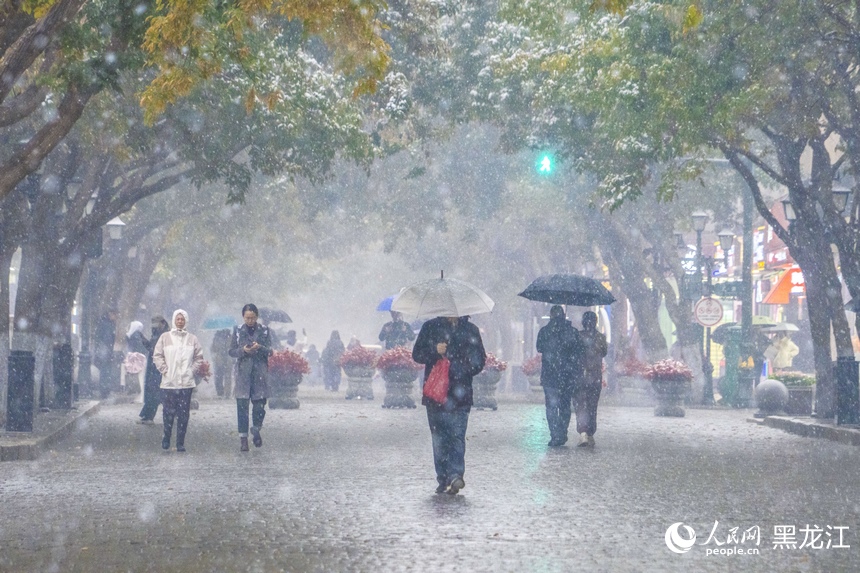 哈爾濱：深秋迎降雪