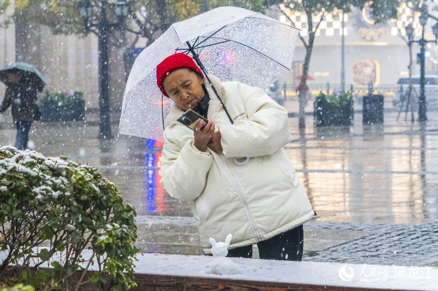 哈尔滨：深秋迎降雪