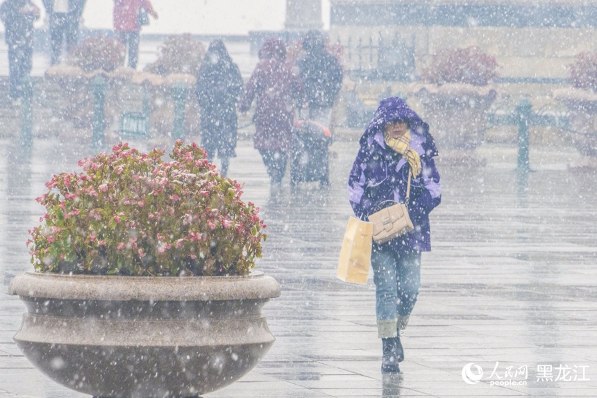 哈尔滨：深秋迎降雪