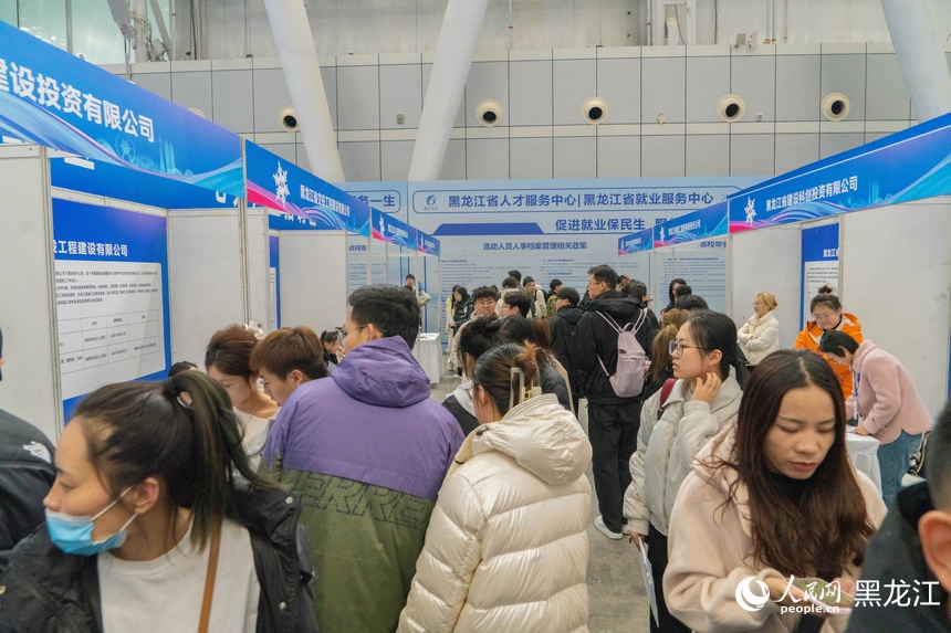 优质企业齐聚冰城 2025东北三省一区青年人才交流会举行