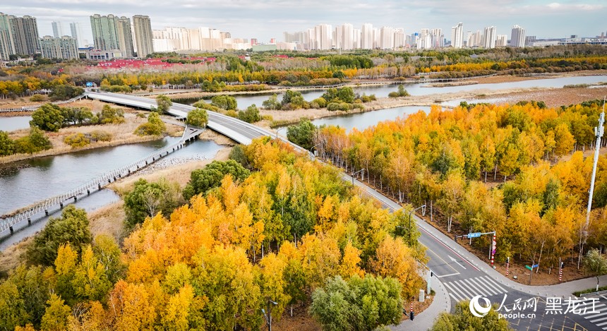 看！哈尔滨的秋天是这样的
