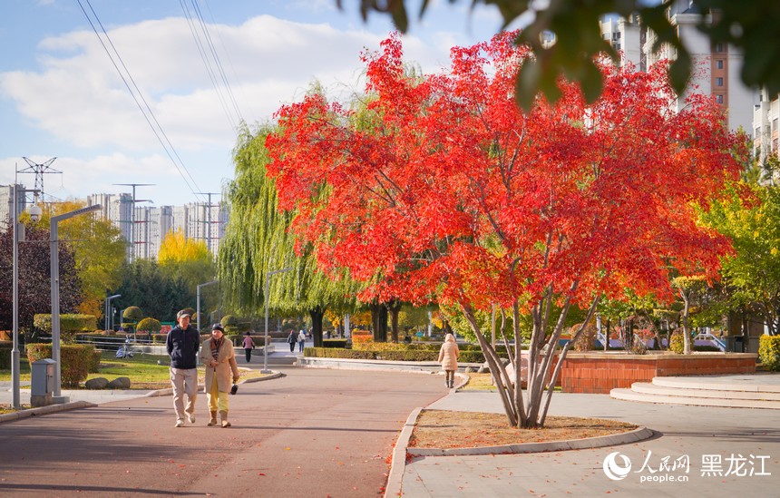 看！哈尔滨的秋天是这样的