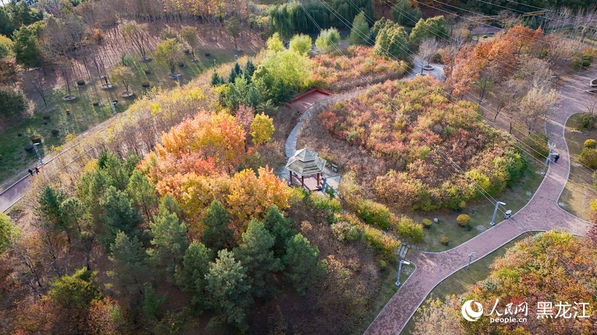 看！哈尔滨的秋天是这样的