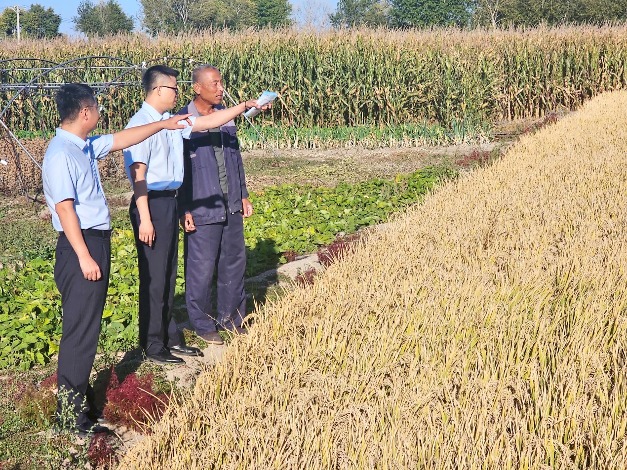 建设银行泰来支行“张富清金融服务队”向农户了解水稻收成情况。中国建设银行黑龙江省分行供图