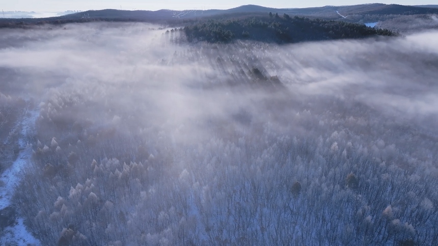 黑龙江黑河：百里雾凇绘就生态画卷