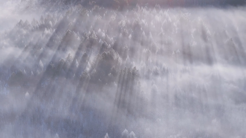 黑龙江黑河：百里雾凇绘就生态画卷