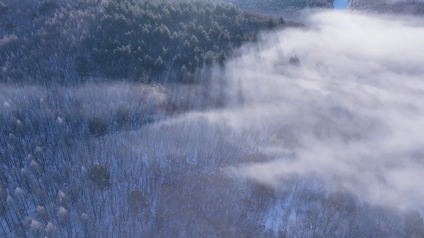 黑龙江黑河：百里雾凇绘就生态画卷