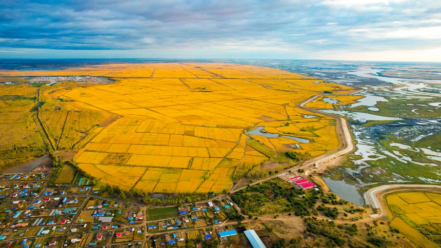 黑龙江富锦：颗粒归仓 黑土生“金”