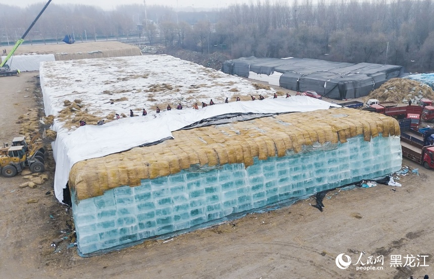 第二十七届哈尔滨冰雪大世界即将开工 20万立方米存冰正式启用