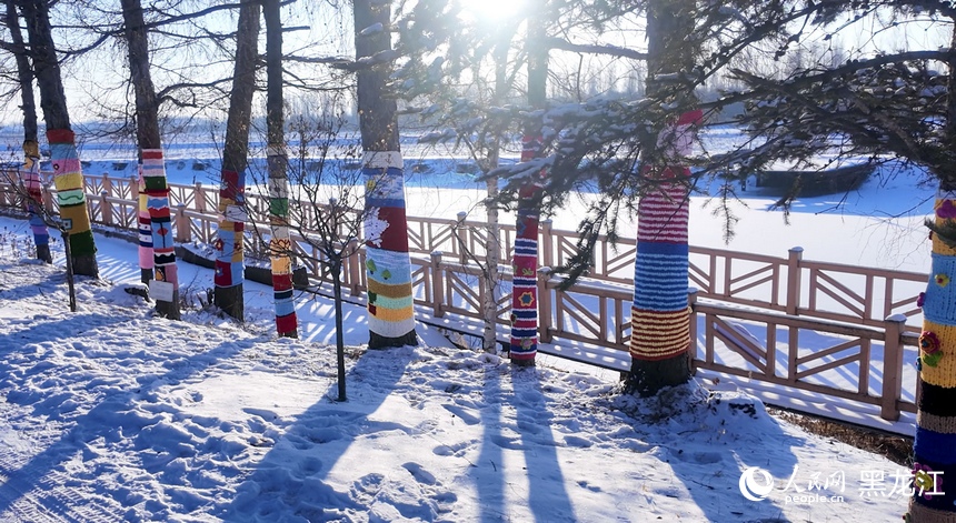 铁力市北星村：“民宿+”点亮乡村 居民实现“家门口”增收