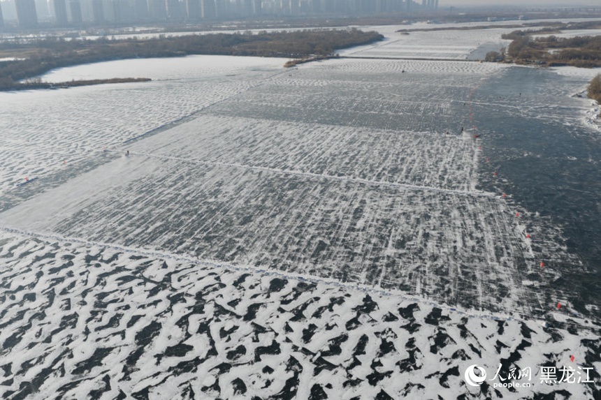 哈爾濱：又到一年採冰時