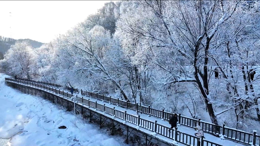 黑河五大连池：观赏雾凇美景 奏响冬日乐章