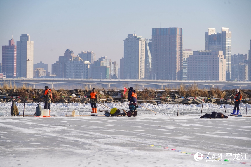 哈尔滨冰雪大世界建设进度已达70% 智能“型冰机”助力高效建造