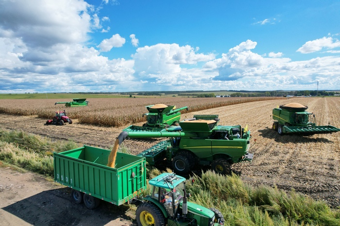 北大荒集团北安分公司建设农场12.8万亩玉米开镰收获（资料图）。许颖献摄