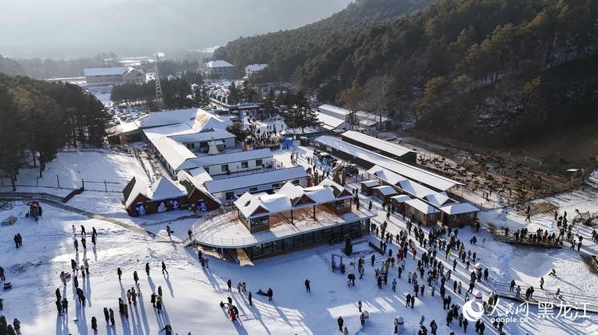 冰雪金林 热“雪”沸腾