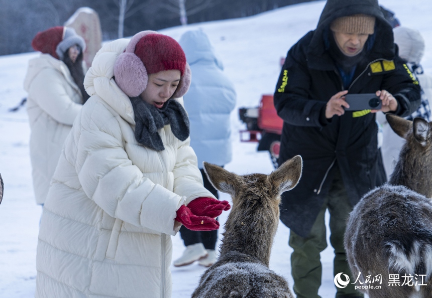 冰雪金林 热“雪”沸腾
