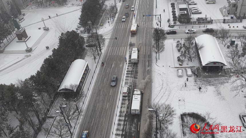 哈尔滨再迎降雪天气 多部门守护冰城“冬日浪漫” 