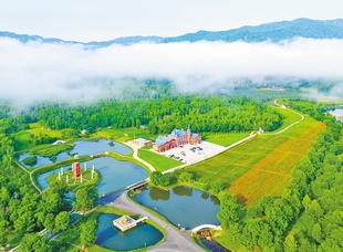 金林區九峰山