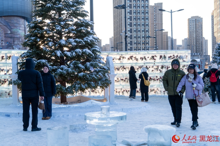 冰封玫瑰“绽放”冰城街头 冬日浪漫引市民游客打卡