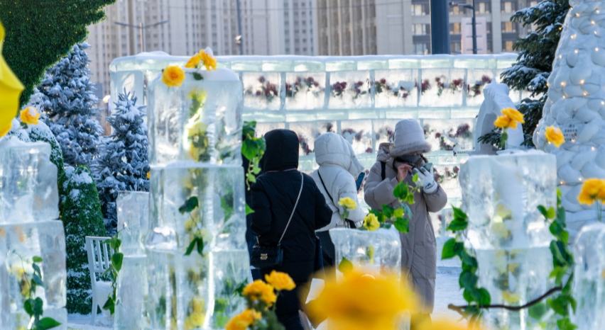 冰封玫瑰“綻放”冰城街頭