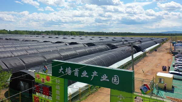 汤原县大塘菌业产业园
