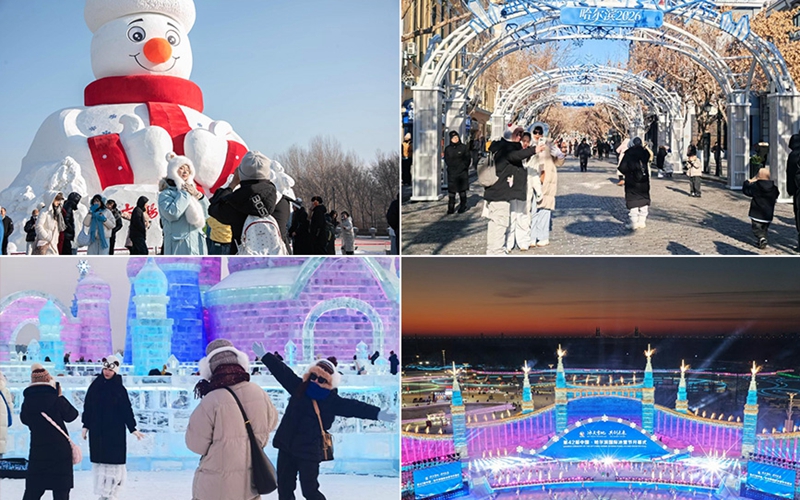 哈尔滨的冰雪，会“讲故事”！