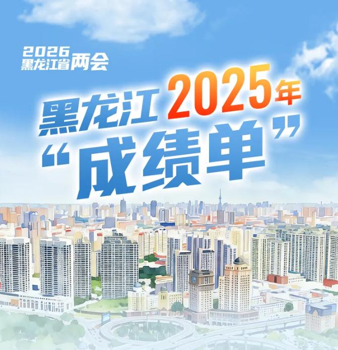 AI绘报告丨黑龙江2025年“成绩单”出炉
