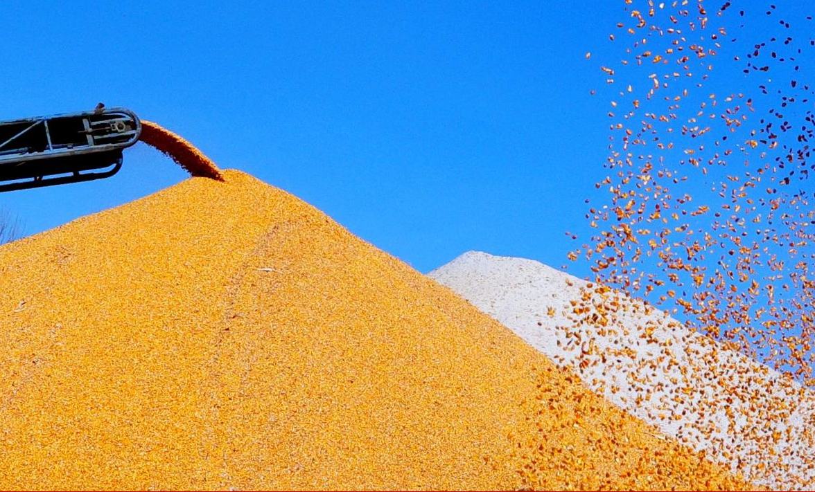 黑龙江两会观察：“产粮第一大省”何以“领跑”16年？