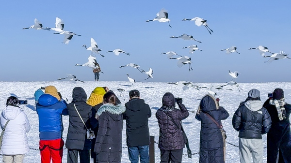 ������ʡ�������������̬����