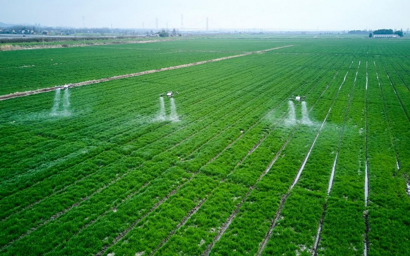 万象“耕”新 智绘“丰”景——各地春耕春管一线扫描