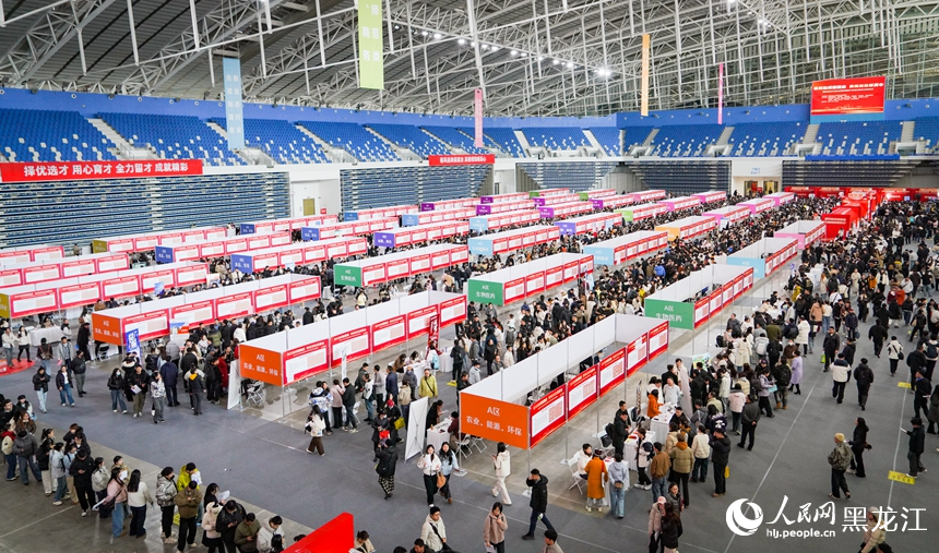 黑龙江：春风送“岗”引才忙