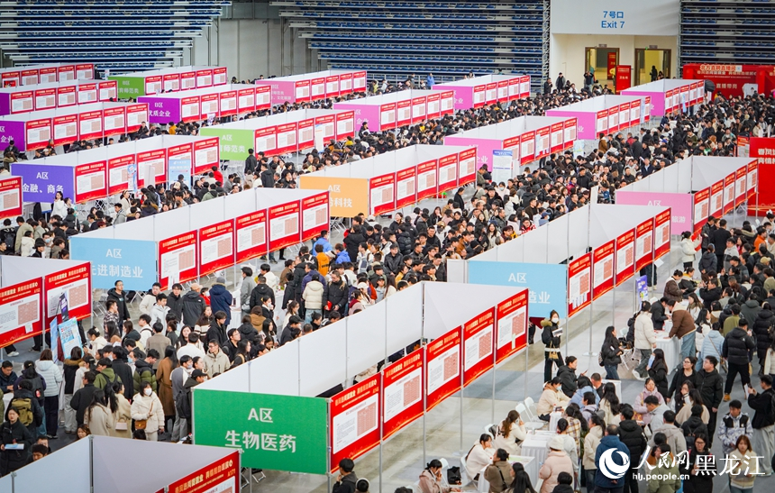 黑龙江：春风送“岗”引才忙