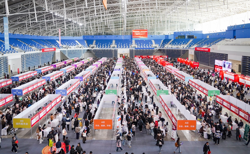 黑龙江：春风送“岗”引才忙