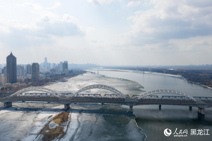 哈尔滨：半江春水半江冰 候鸟蹁跹报春来