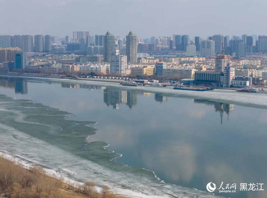哈尔滨：半江春水半江冰 候鸟蹁跹报春来