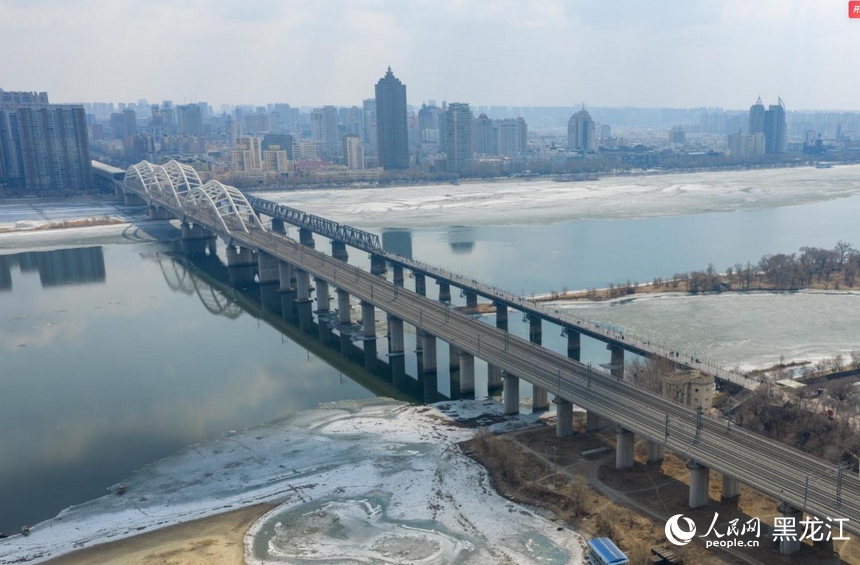 哈尔滨：半江春水半江冰 候鸟蹁跹报春来