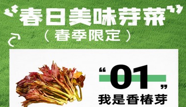春日餐桌必备芽菜，这样吃营养又美味