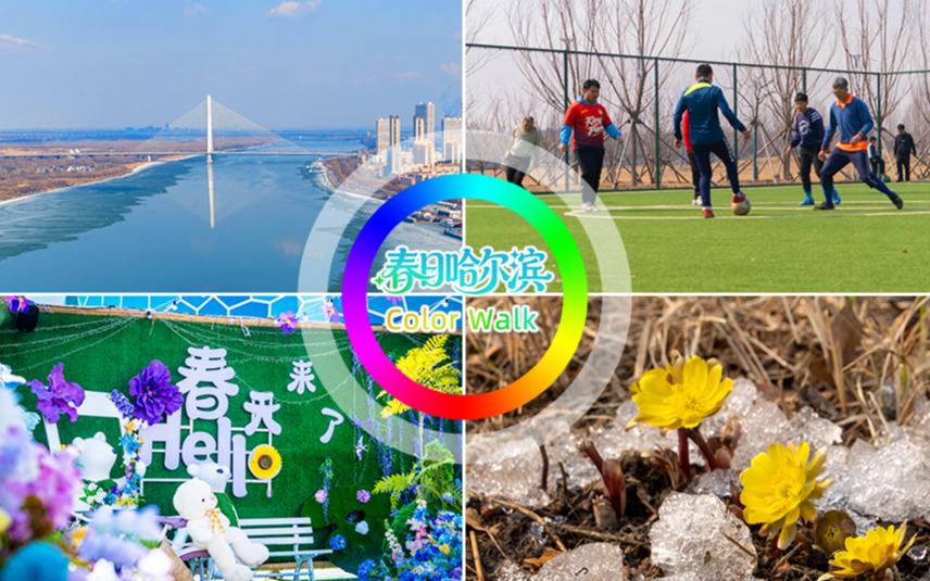融融春光里，来哈尔滨解锁一场Color Walk