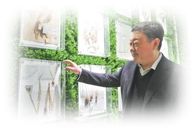 姜明在介绍采自黑土地的植物标本。受访者供图