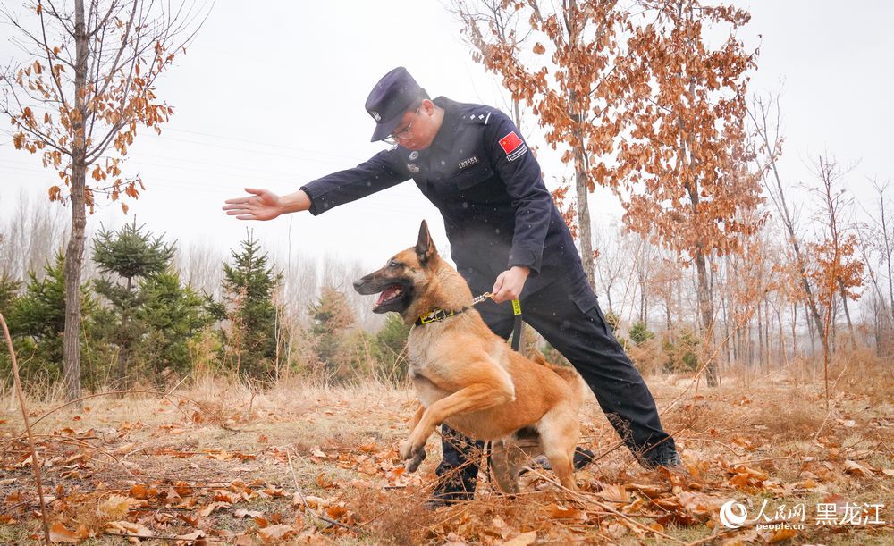 探访哈尔滨警犬训练基地：特殊“尖兵”的日常锤炼
