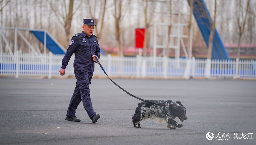 探访哈尔滨警犬训练基地：特殊“尖兵”的日常锤炼
