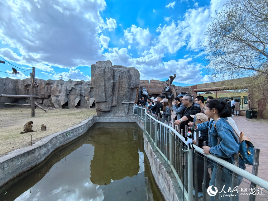 “五一”假期齐齐哈尔龙沙动植物园“焕新”迎客