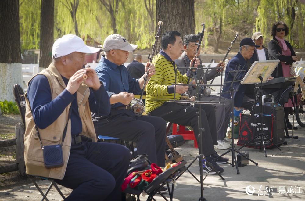 黑龙江哈尔滨：百年古梨树繁花绽放迎客来