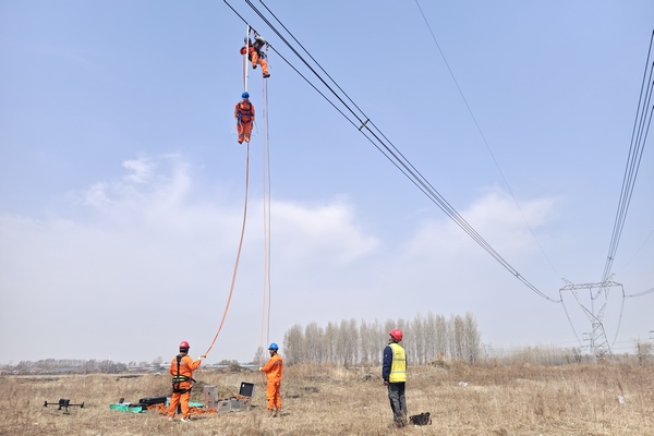 國網黑龍江電力應急救援基干分隊開展輸電線路高空救援實戰演練。劉日明攝